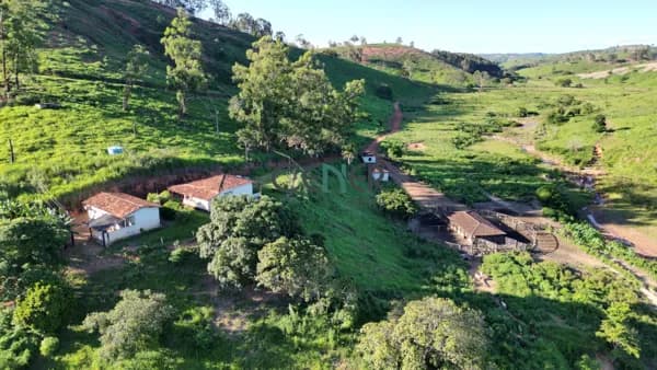Fazenda de 690 ha pronta em Gov. Valadares MG excelente para criação e engorda de boi.