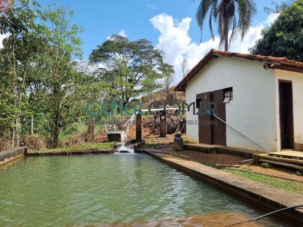 Fazenda de 431 ha Riquíssima em Água e Excelente para pecuária em Paraíba do Sul RJ