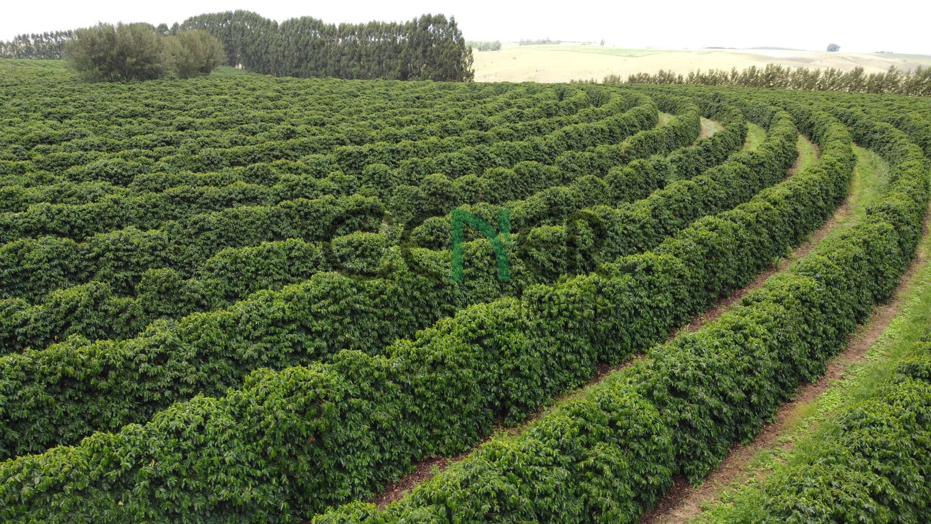 Extraordinária fazenda de 1040 ha com café e lavouras em Araxá MG