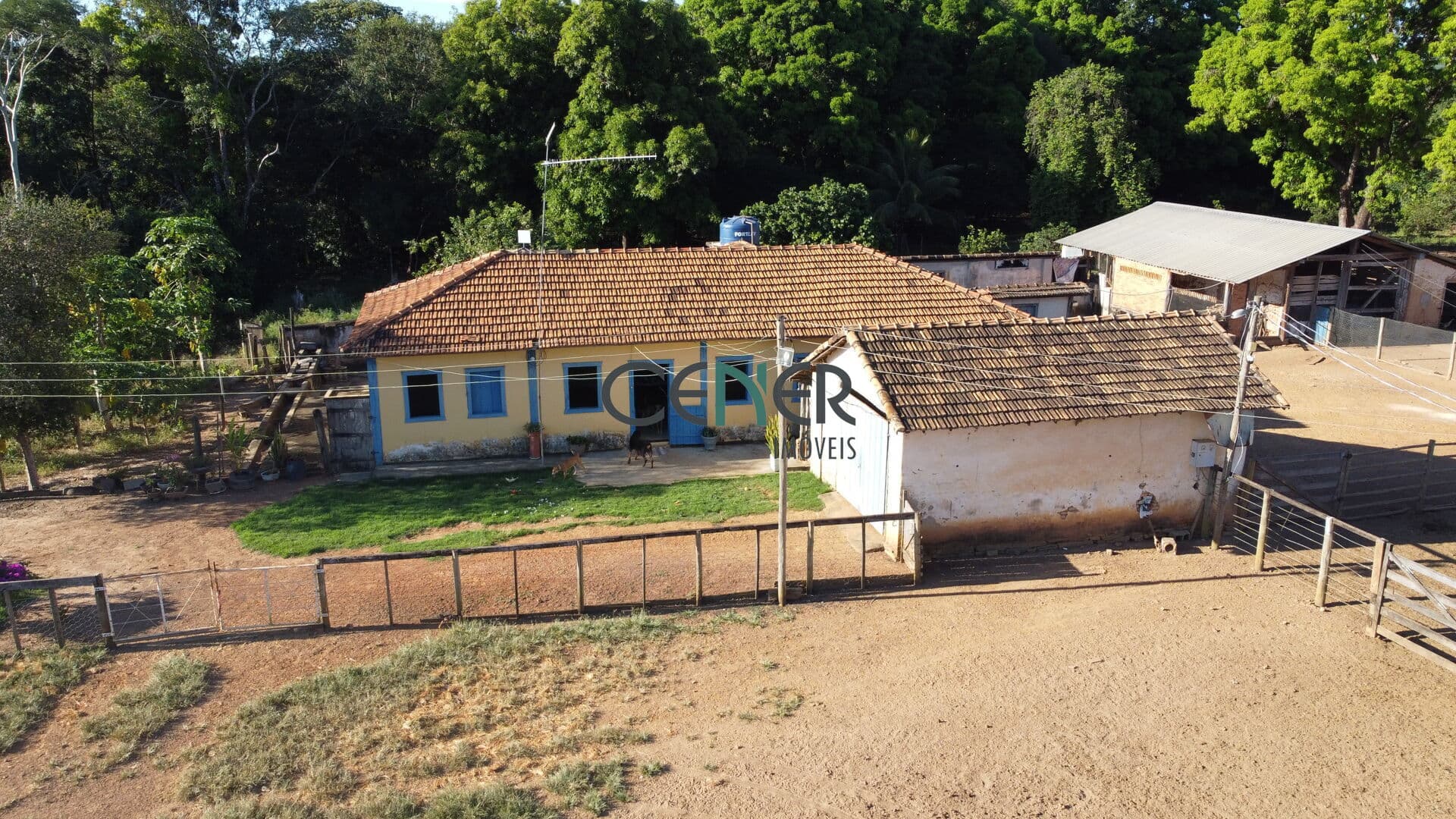 Sensacional fazenda de 450 ha dupla aptidão ou até 750 ha