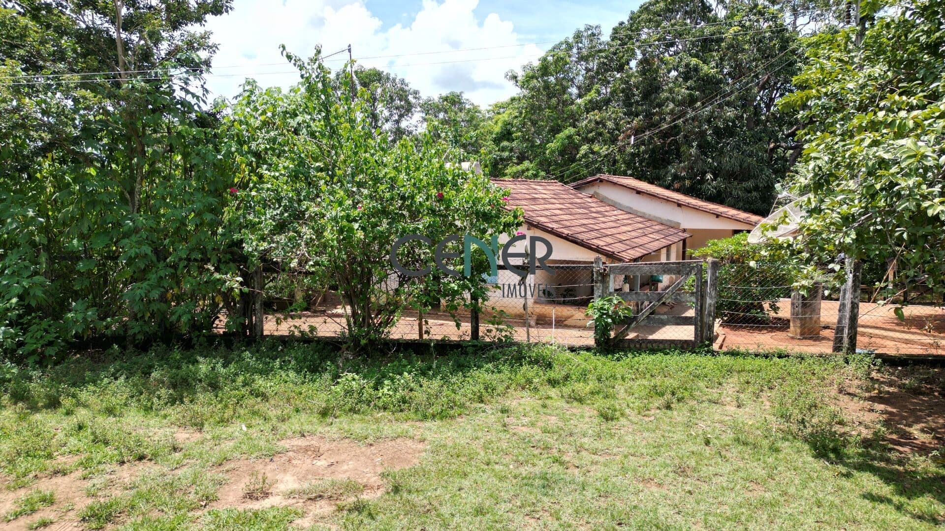 Show de fazenda de 517 ha por 17 milhões em Abaeté MG