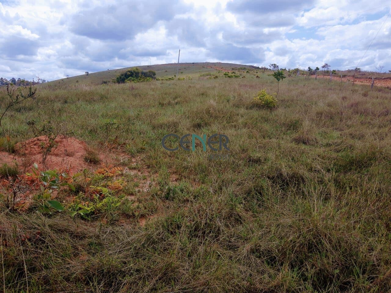 Terreno de 80 ha em Andrelãndia MG