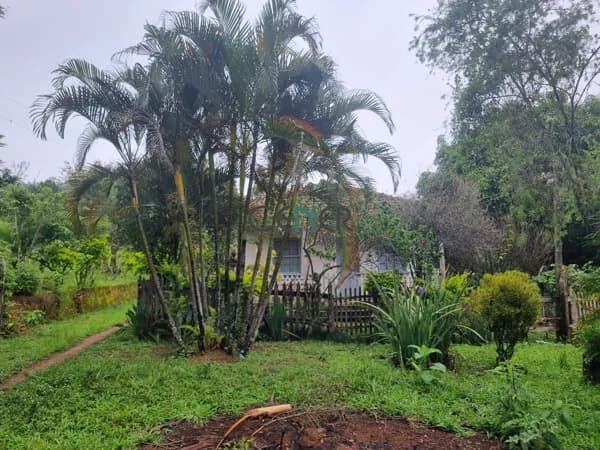 FAZENDINHA DE 19,5 EM LOCALIAÇÃO ESPETACULAR