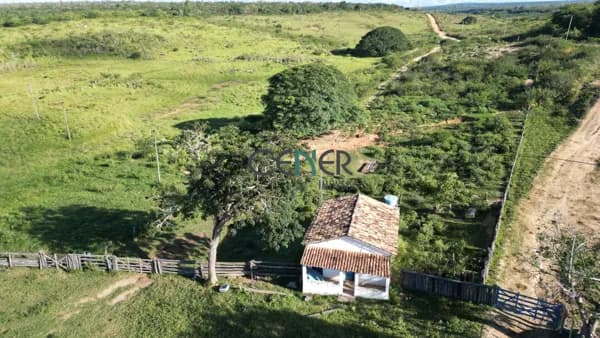 Fazenda Floresta com 4 506 ha na região de São João do Paraiso MG em avaliação