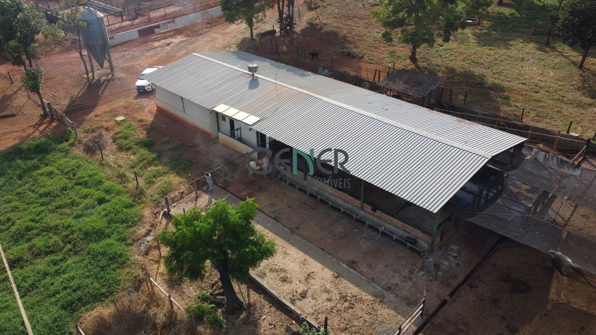 Fazenda de 308,36 ha – Um Patrimônio Rural a Apenas 100 km de Belo Horizonte!