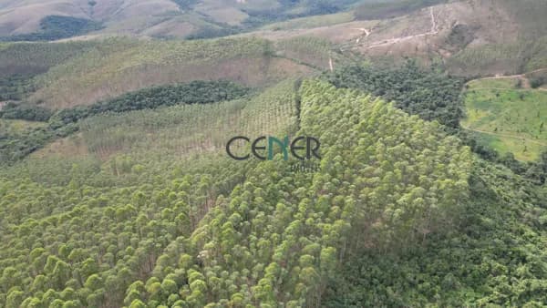 Fazenda 265 ha com 115 ha de eucalipto em Andrelândia MG