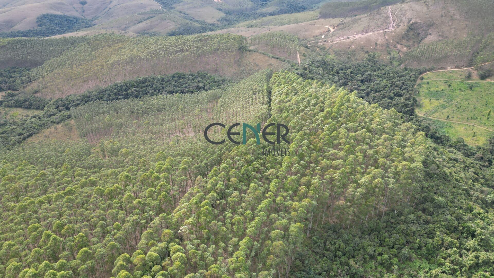 Fazenda 265 ha com 115 ha de eucalipto em Andrelândia MG