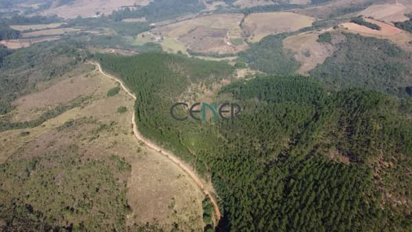 Fazenda de 46,6 ha com 30 ha de eucalipto em Barroso MG