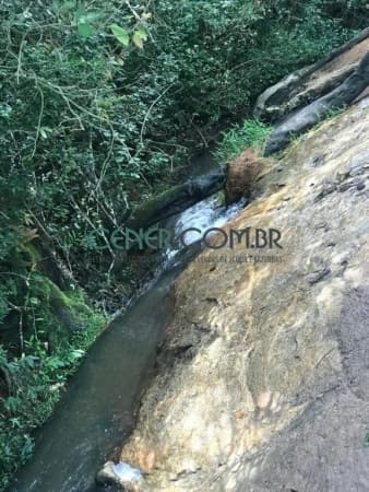 Terreno de 32,9 ha em Piedade dos Gerais bom para pecuária