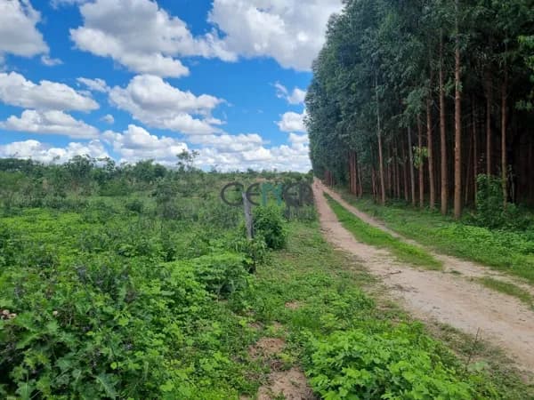 EXCELENTE TERRENO DE 70 HA ÓTIMO PARA LAVOURAS EM ÓTIMO LOCAL