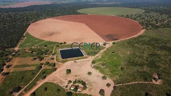 Venda de Fazenda de 732 Hectares em Pirapora, MG - Lavoura Irrigada e Pecuária, Alta Produtividade