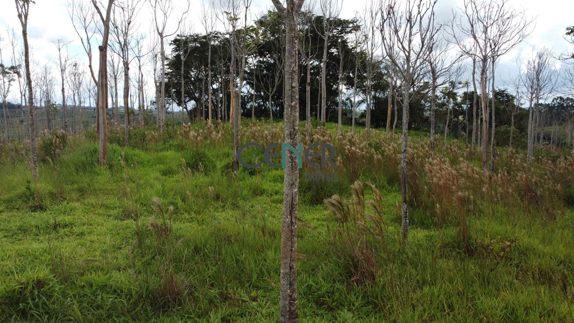 Terreno para lavoura ou sitio de 17 ha em Entre Rios de Minas