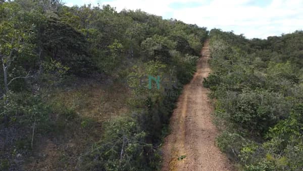 Fazenda de 140,4399 ha em Jequitibá MG em avaliação