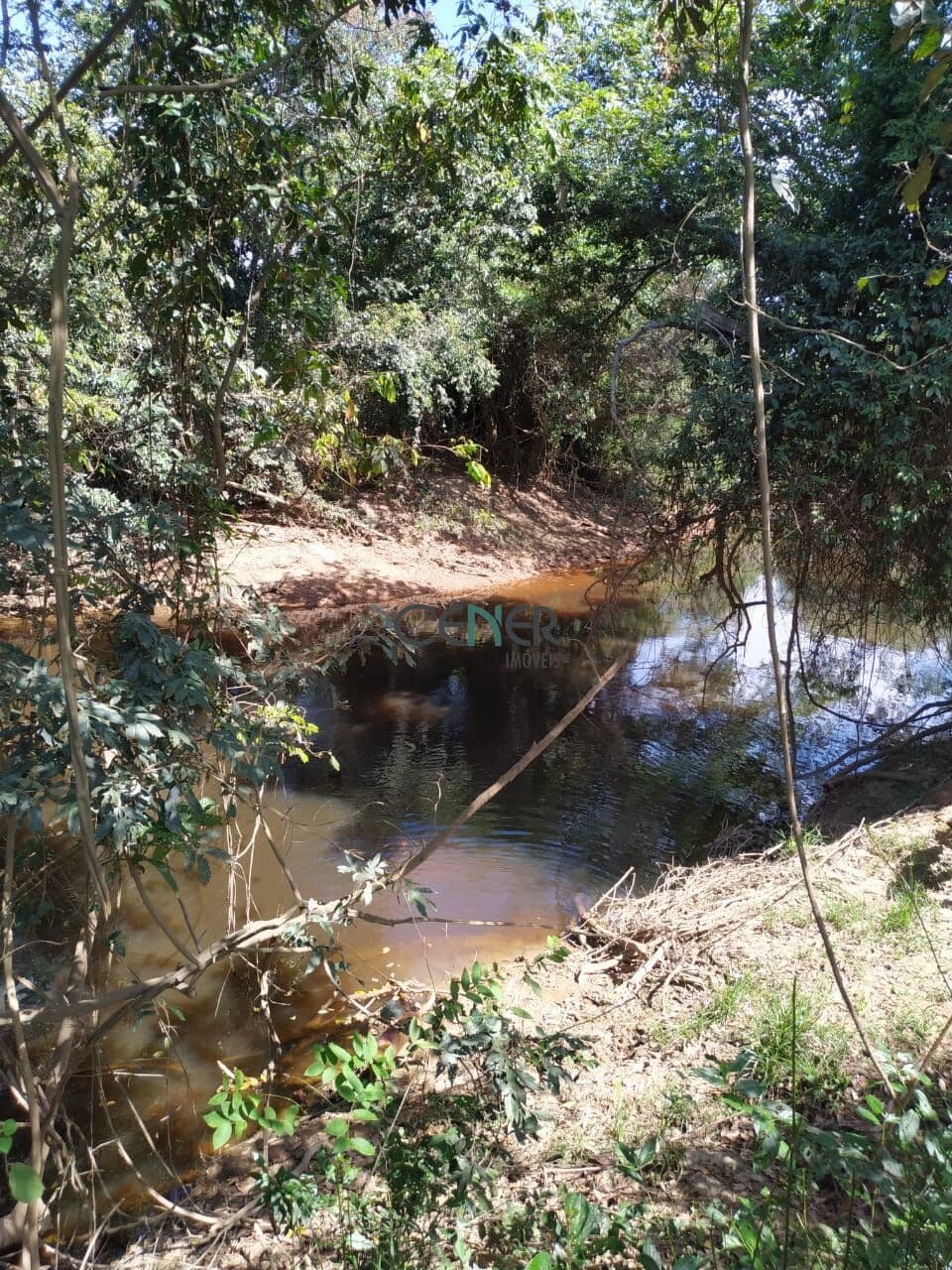 Fazenda de 47,57 ha em Buenópolis MG