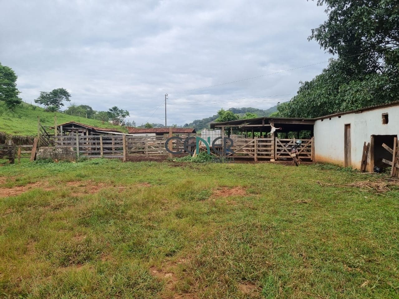 Ótima fazendinha de 57,13 ha nas margens do Rio Piranga