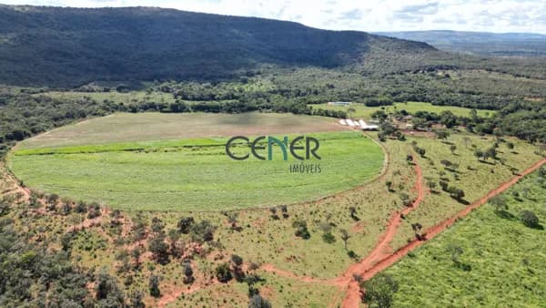 Fazenda Produtiva de 223 ha em Corinto MG -