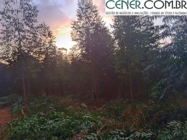 aconchegante Sítio de 2,5 ha em Piedade dos Gerais-MG