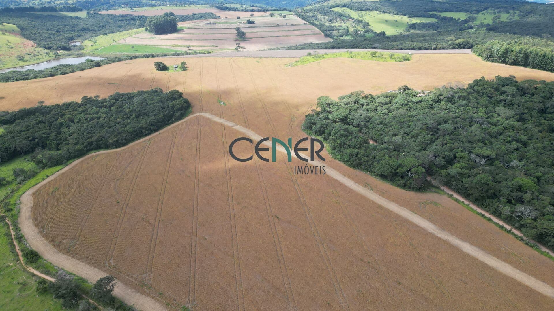Extraordinária fazenda de 374 ha para lavoura e leite. P. fechada