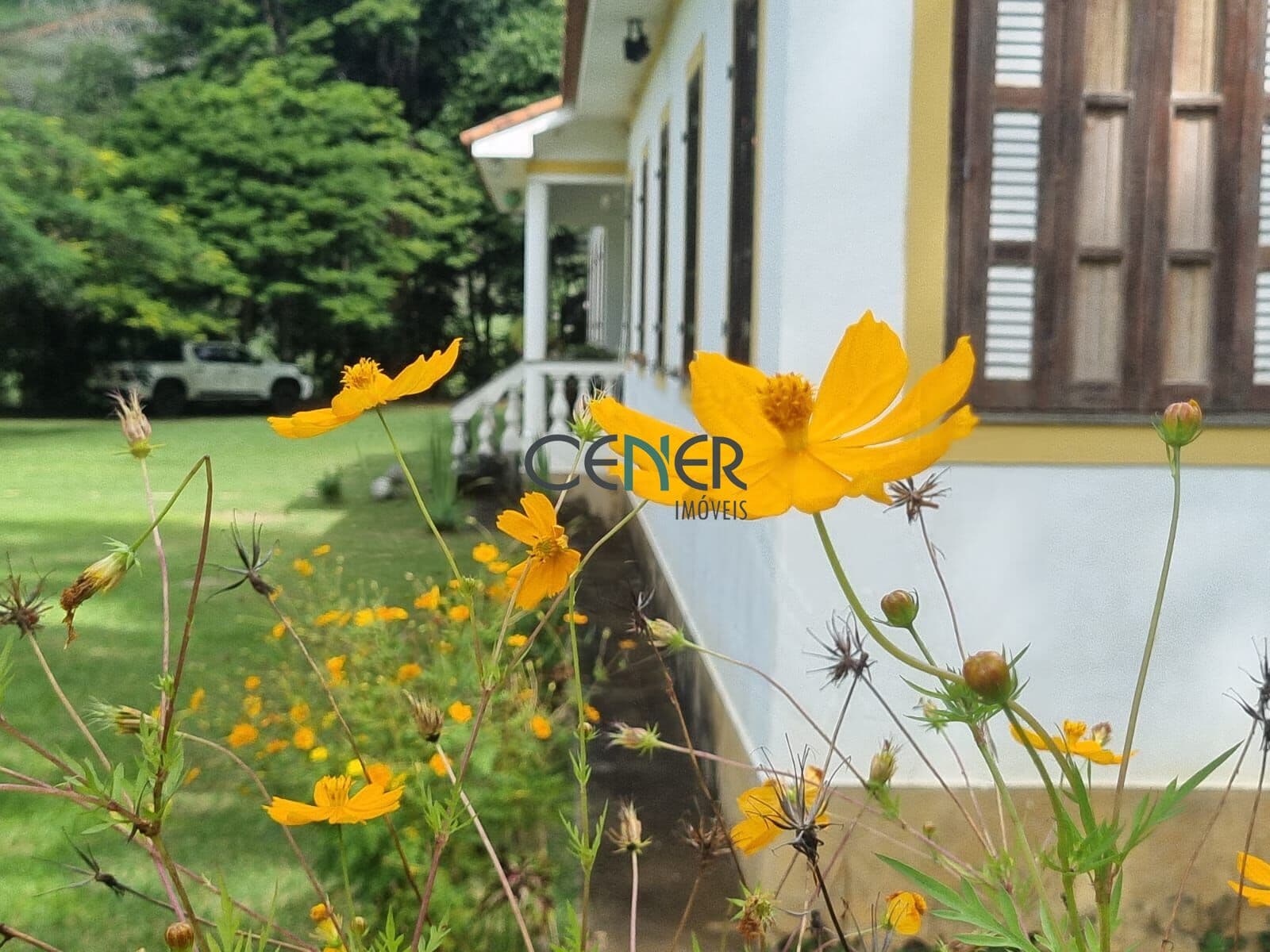 Maravilhosa fazenda de 67 ha na região de Juiz de Fora MG