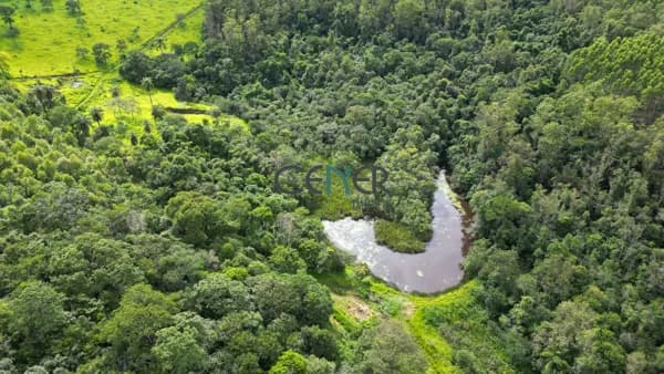 Fazendinha espetacular de 20 ha em local lindo e com privacidade a 70 km de BH