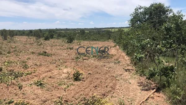 Fazenda de 108 há em João Pinheiro MG dupla aptidão