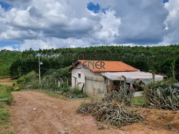 Fazenda de 44 ha ótima lavoura em Caldas MG
