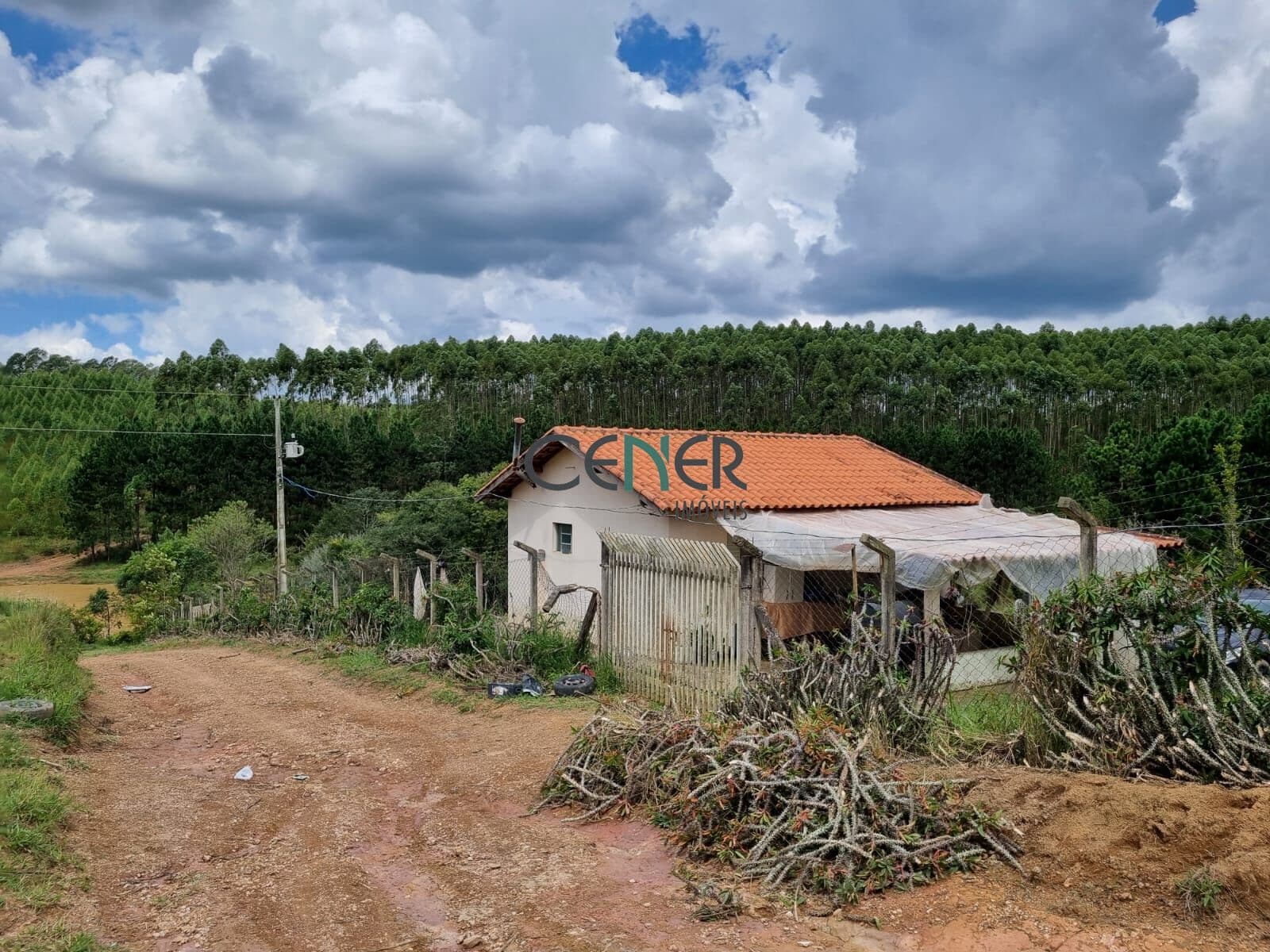 Fazenda de 44 ha ótima lavoura em Caldas MG