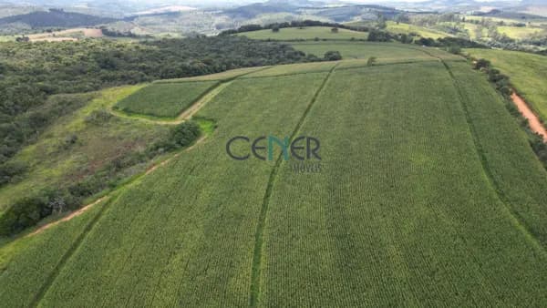 Espetacular terreno de 73 ha em lavouras na região de Carandai MG