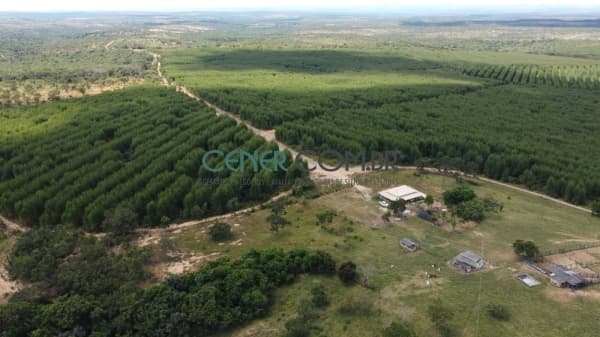 Excelente Fazenda de 722 ha com 305 ha de eucalipto em Curvelo