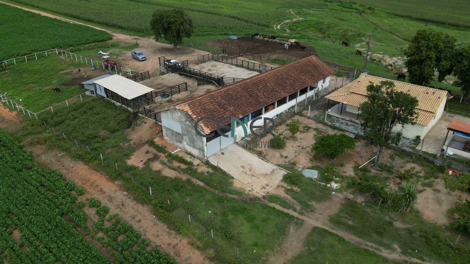 Extraordinária fazenda de 170 ha em lavoura e pecuária
