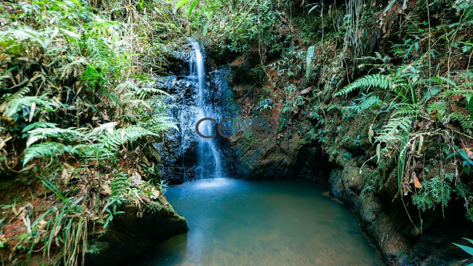 SITIO, FAZENDINHA, POUSA RURAL DE 48 HA A 40 KM DE BH EM RIO ACIMA