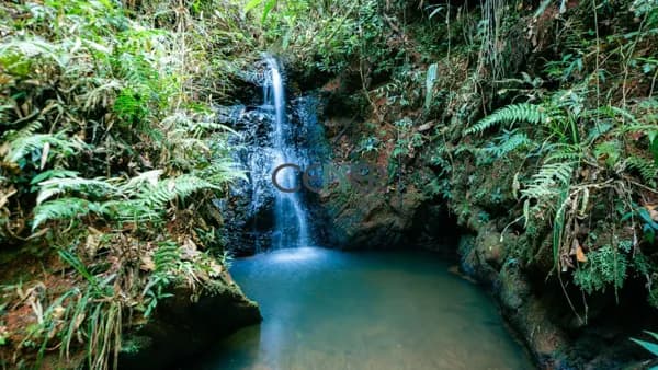SITIO, FAZENDINHA, POUSA RURAL DE 48 HA A 40 KM DE BH EM RIO ACIMA