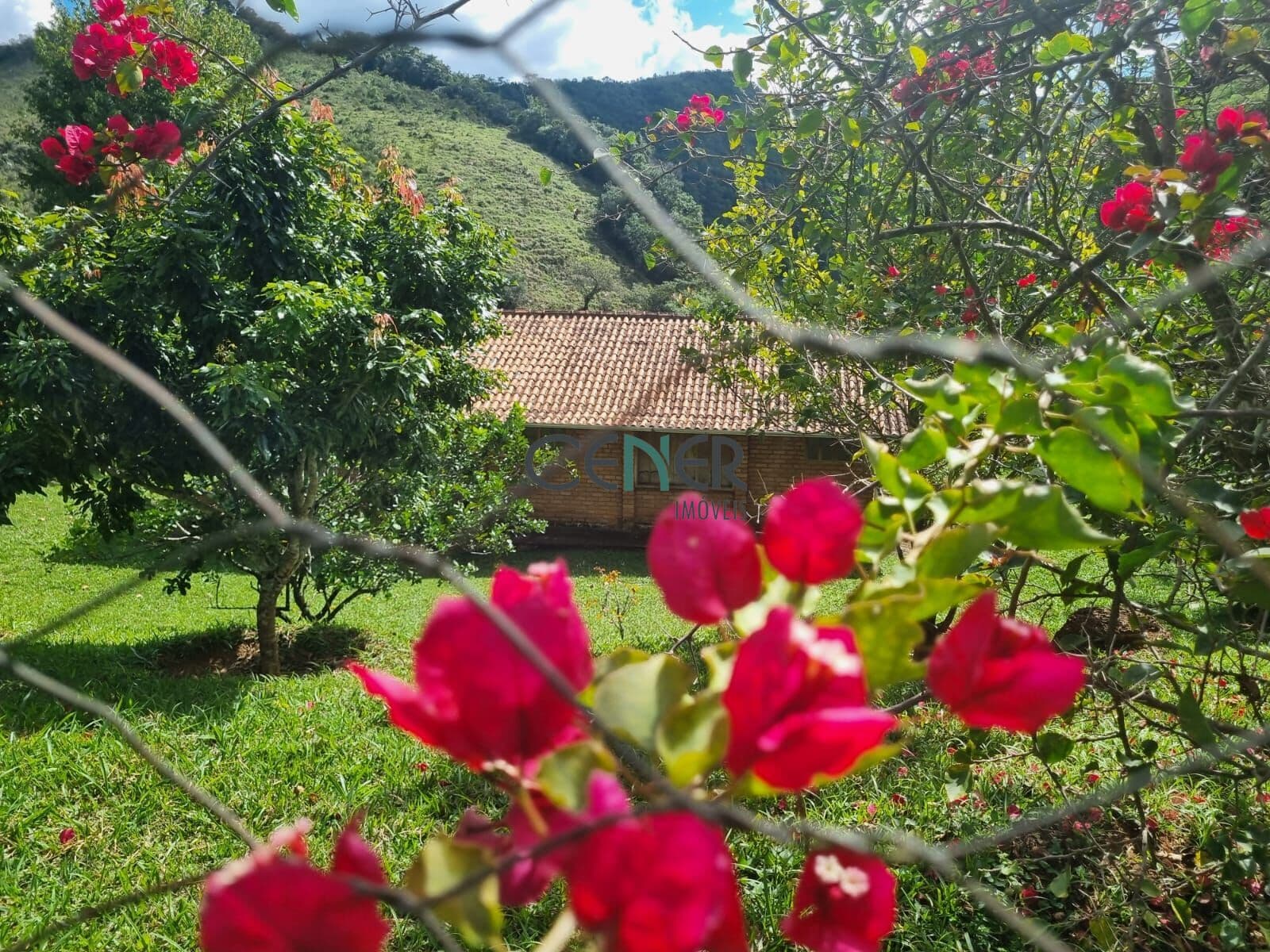 Fazenda Topo do Mundo de 180 ha em Lima Duarte MG com eucalipto