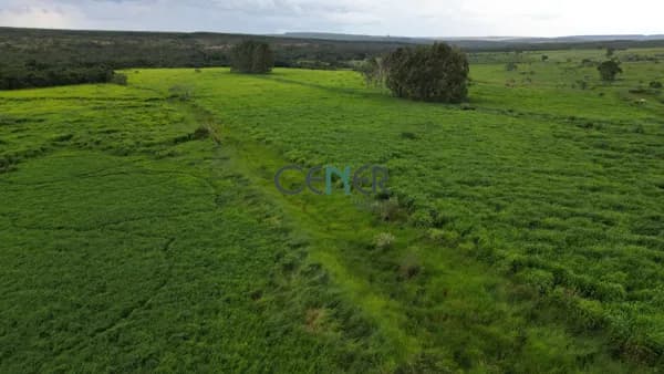 Oportunidade em Fazenda de 610 ha com outorga para irrigação na região de Martinho Campos MG
