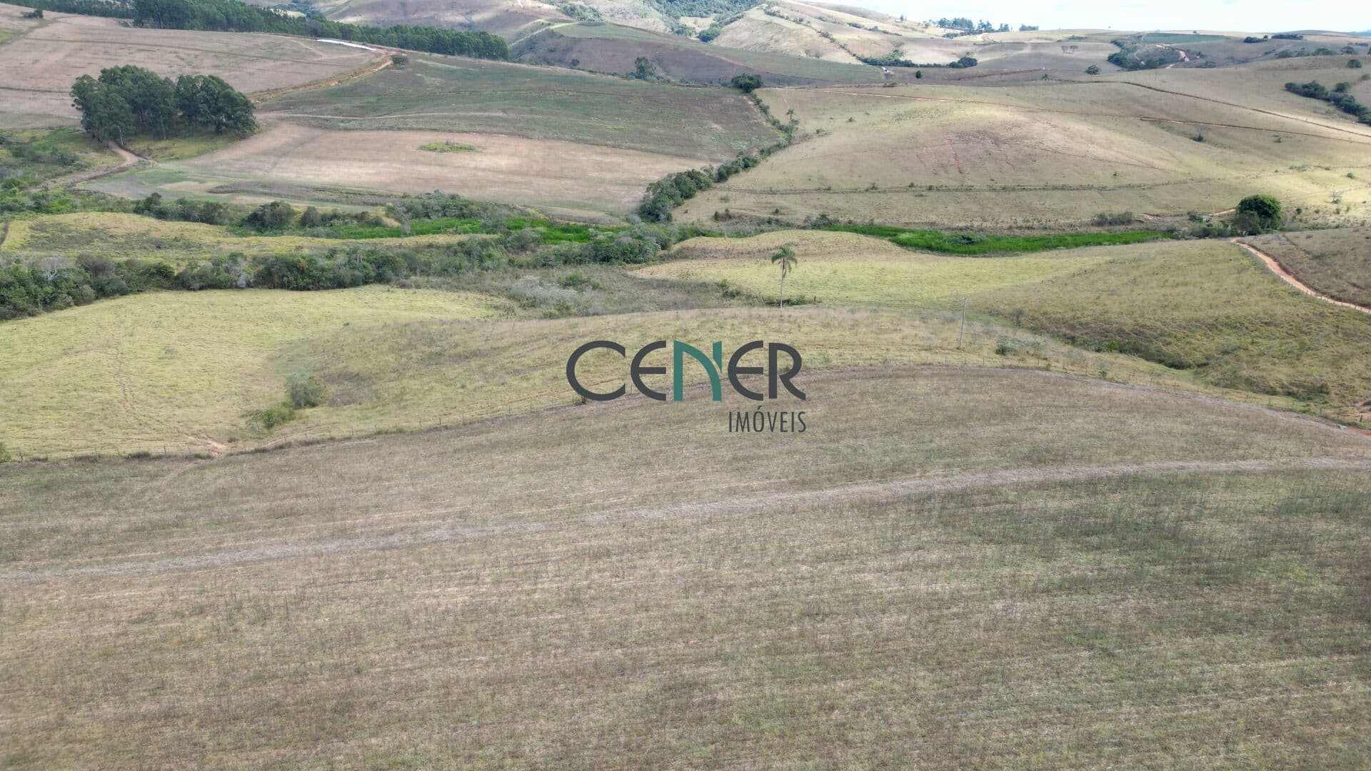 Extraordinária fazenda de 197 ha para lavouras, pecuária e reflorestamento.