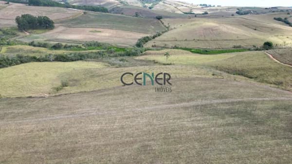 Extraordinária fazenda de 197 ha para lavouras, pecuária e reflorestamento.