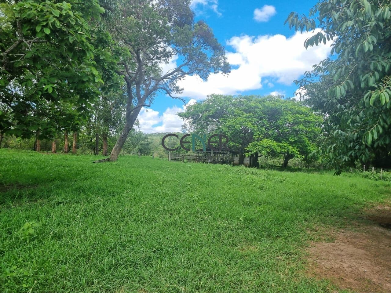BELA FAZENDINHA DE 78 HA BEM PREPARADA EM ÓTIMO LOCAL