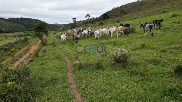 Fazenda Macieira com 320 ha na região de Barbacena MG