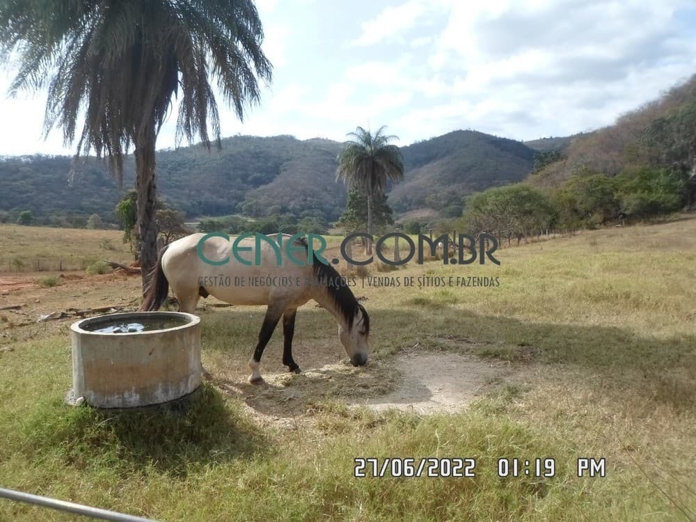 Bela Fazenda de 317 ha preparada para pecuária na Reg de Sete Lagoas MG