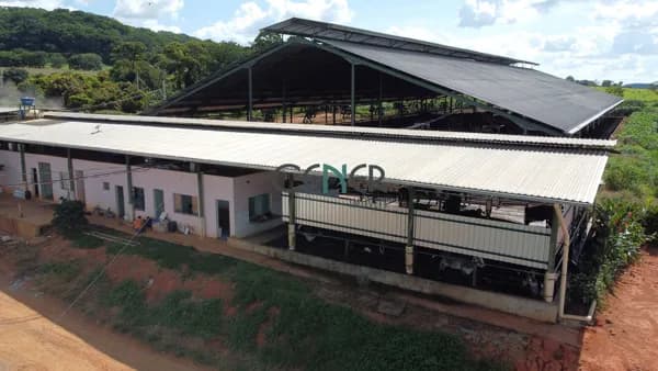 FAZENDA DE 148,85 HA COM ALTA PRODUÇÃO DE LEITE