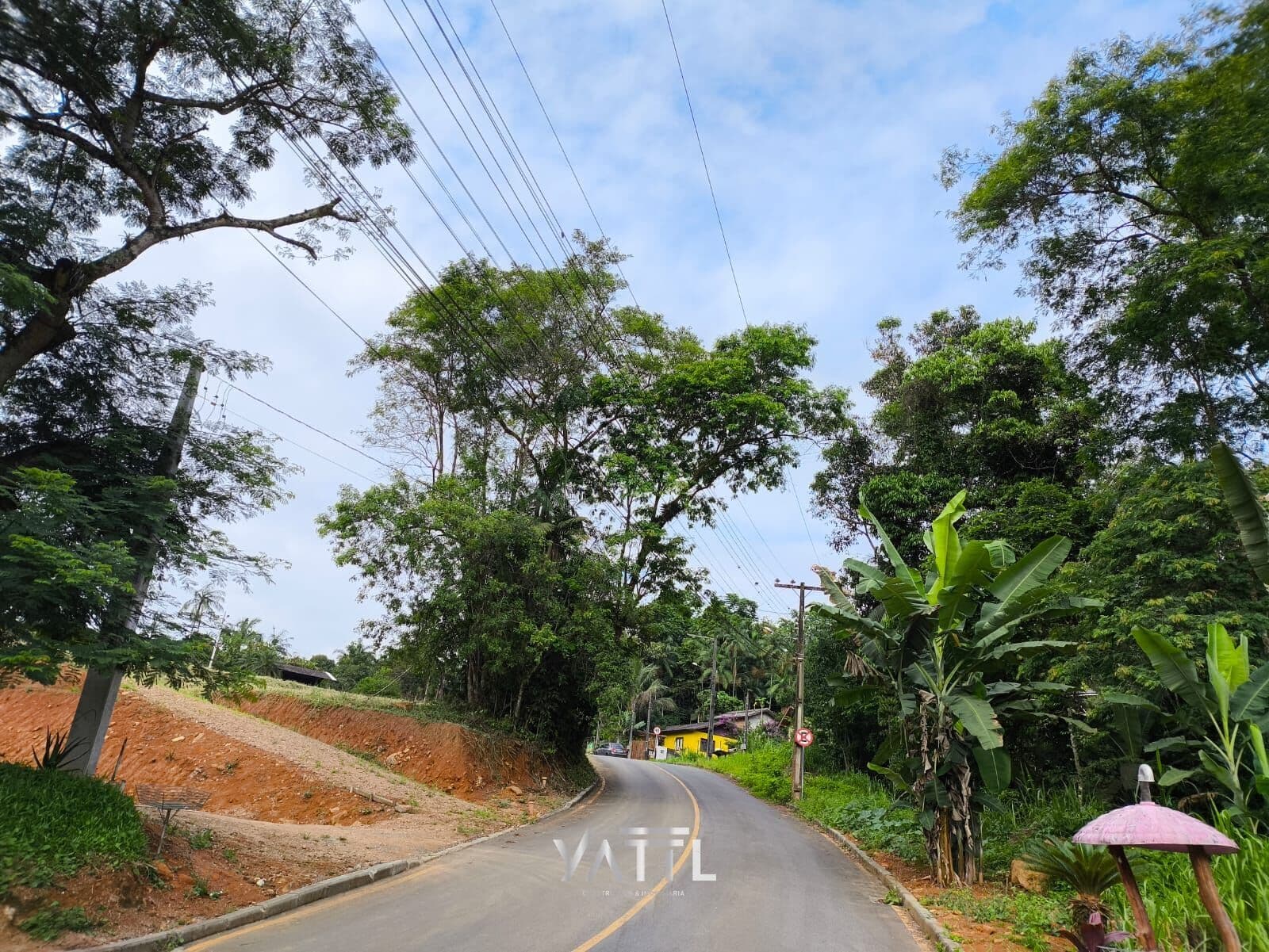 Terreno Pico Malwee
