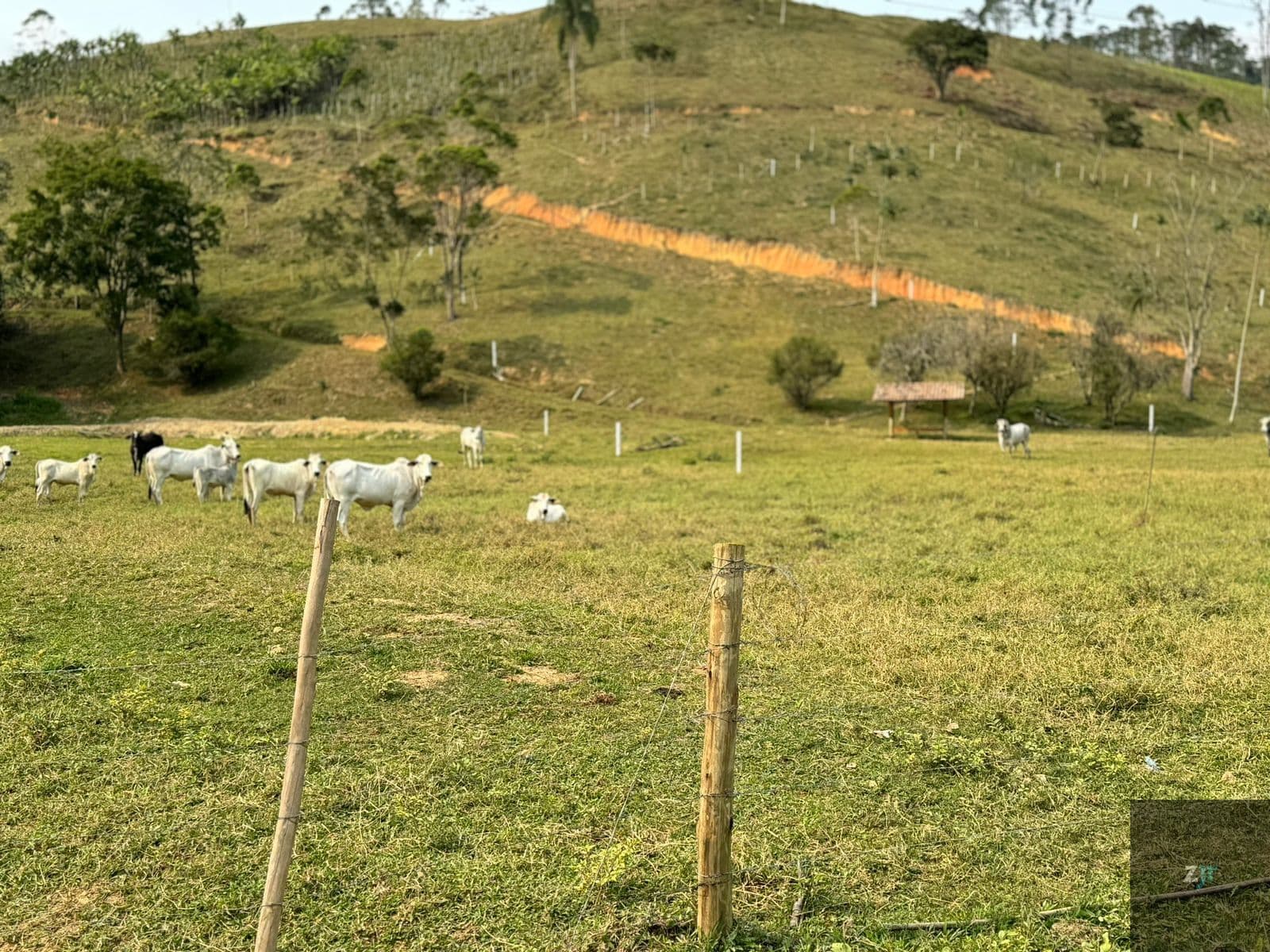 Terreno Lote em Tijipió, São João Batista/SC