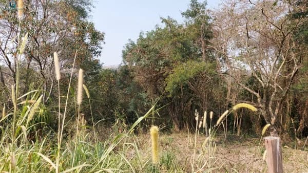 Terreno para Venda em Centro Araçariguama-SP
