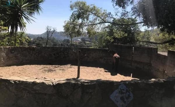 Sítio Haras para Venda em Jardim Boa Vista São Roque-SP