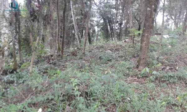Terreno para Venda em Centro Araçariguama-SP