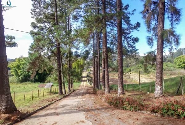 Sítio Haras para Venda em Centro Mairinque-SP