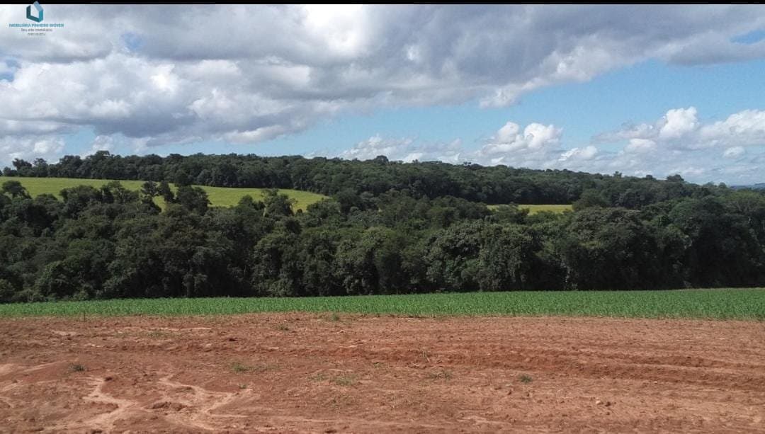 Fazenda para Venda em Centro Itararé-SP