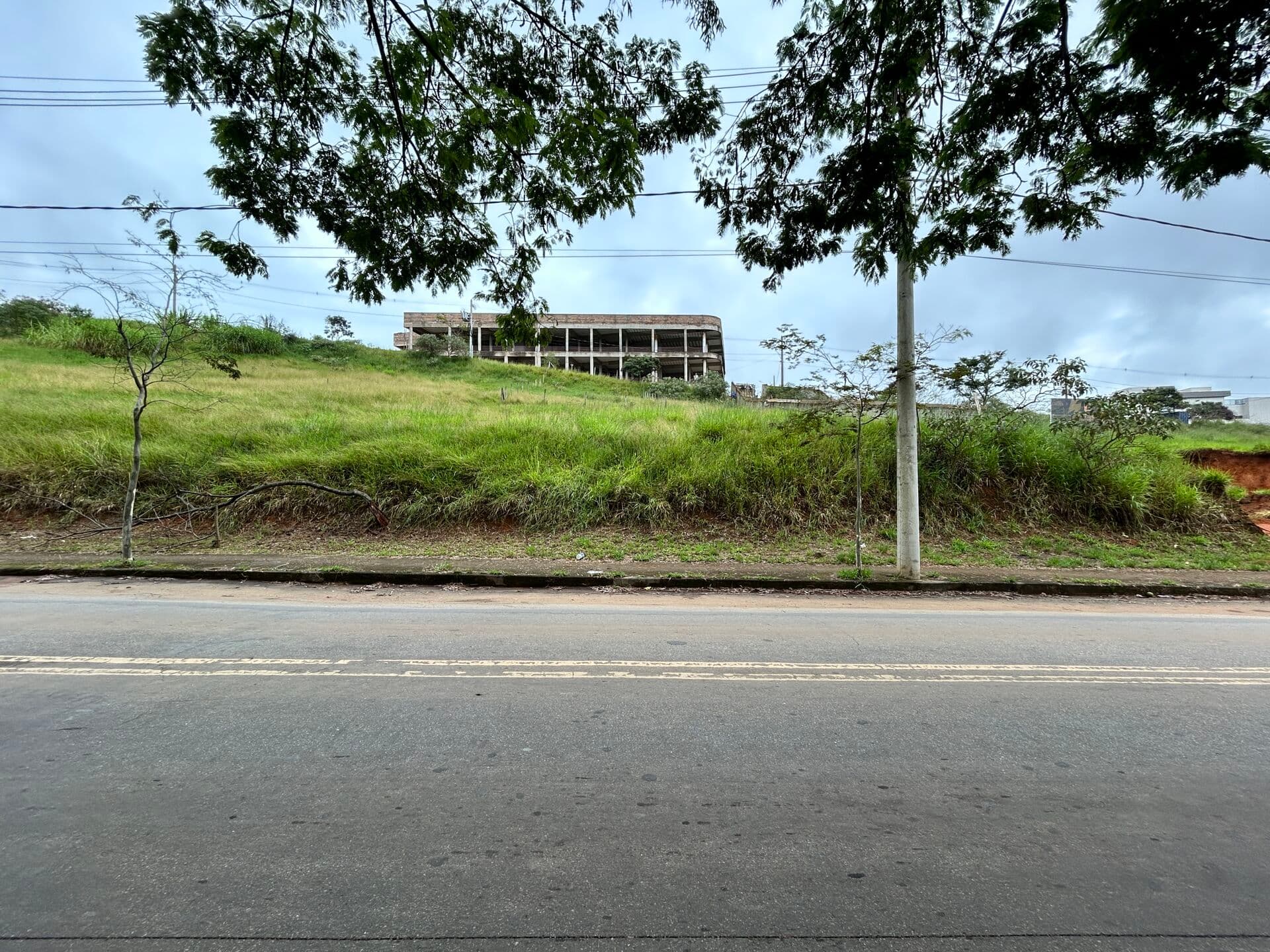Tamareiras, em Conselheiro Lafaiete – MG.