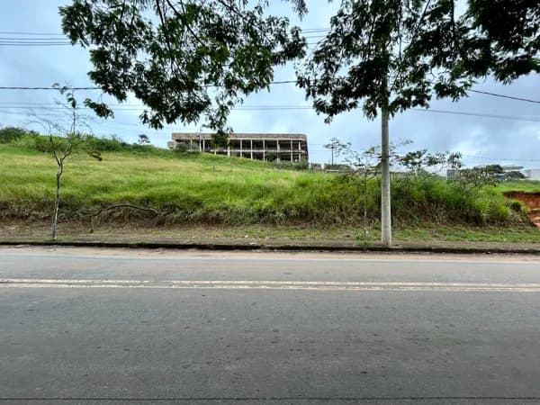 Tamareiras, em Conselheiro Lafaiete – MG.
