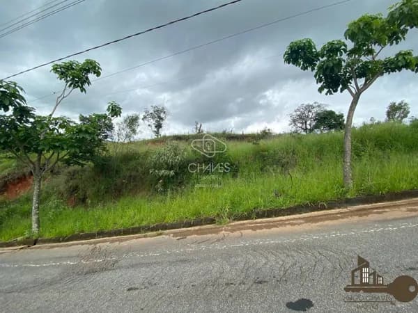 Lote/Terreno - Conselheiro Lafaiete